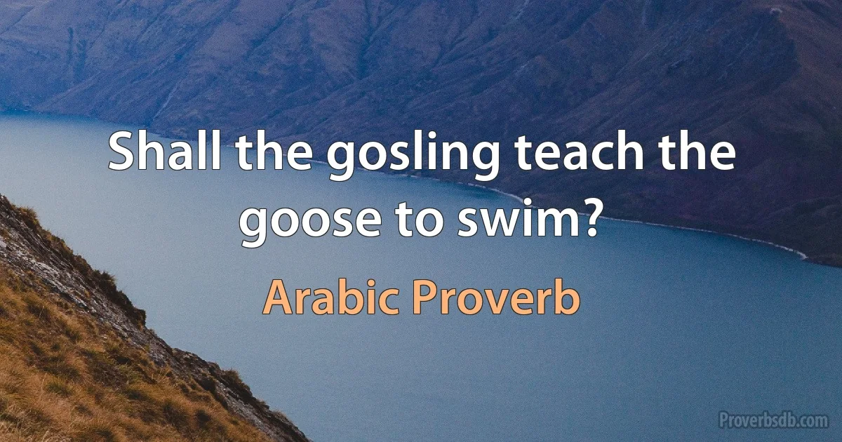 Shall the gosling teach the goose to swim? (Arabic Proverb)