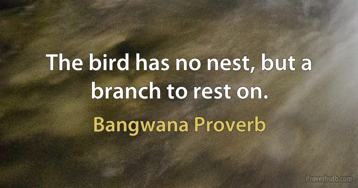 The bird has no nest, but a branch to rest on. (Bangwana Proverb)