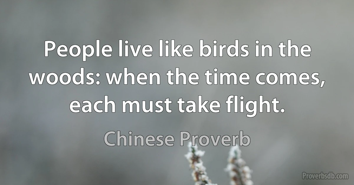 People live like birds in the woods: when the time comes, each must take flight. (Chinese Proverb)