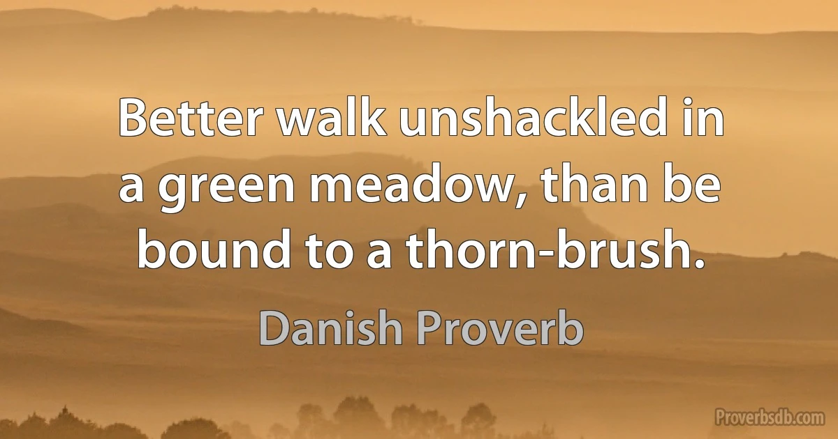 Better walk unshackled in a green meadow, than be bound to a thorn-brush. (Danish Proverb)