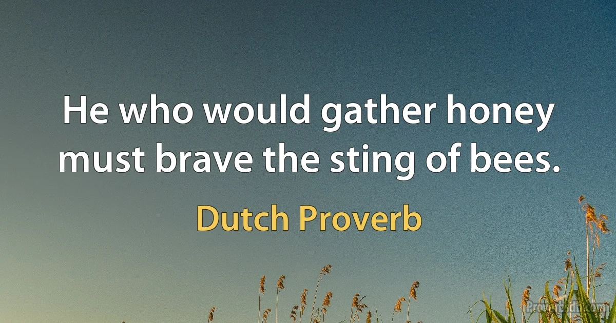 He who would gather honey must brave the sting of bees. (Dutch Proverb)