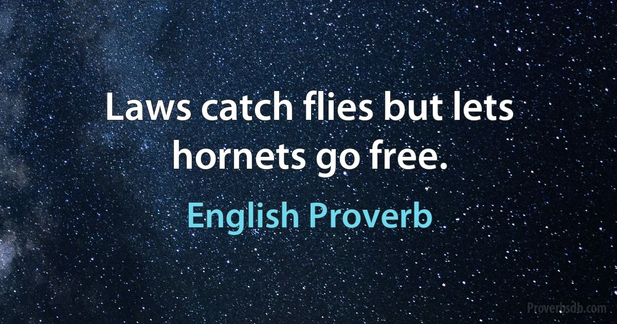 Laws catch flies but lets hornets go free. (English Proverb)