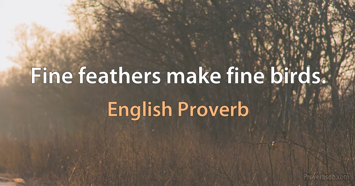 Fine feathers make fine birds. (English Proverb)