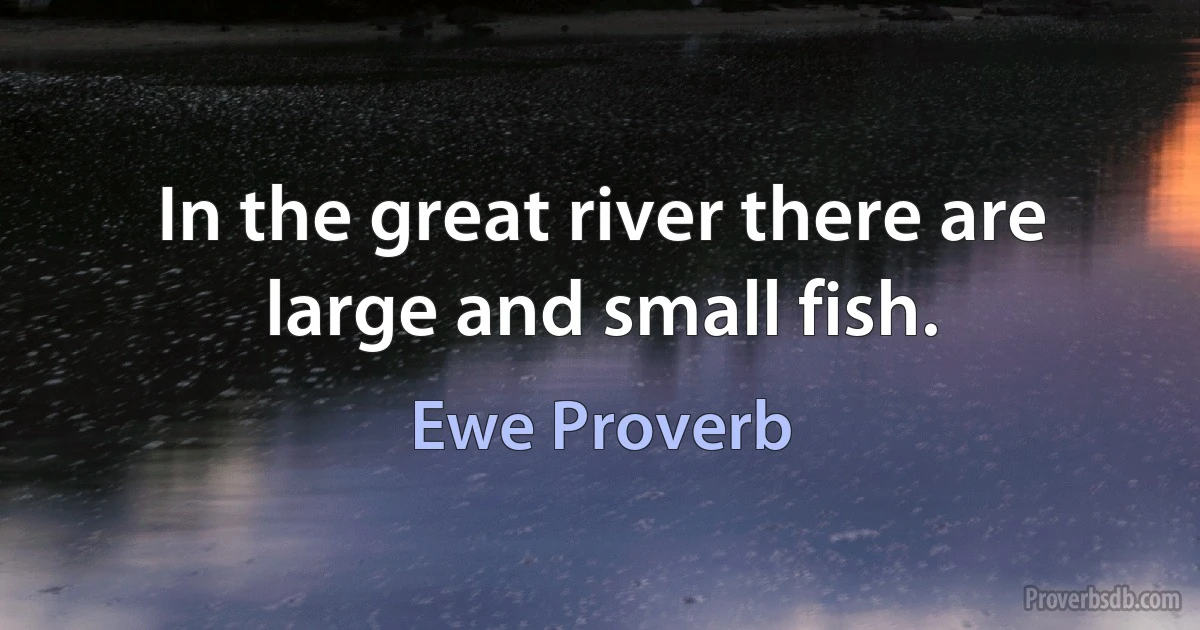 In the great river there are large and small fish. (Ewe Proverb)