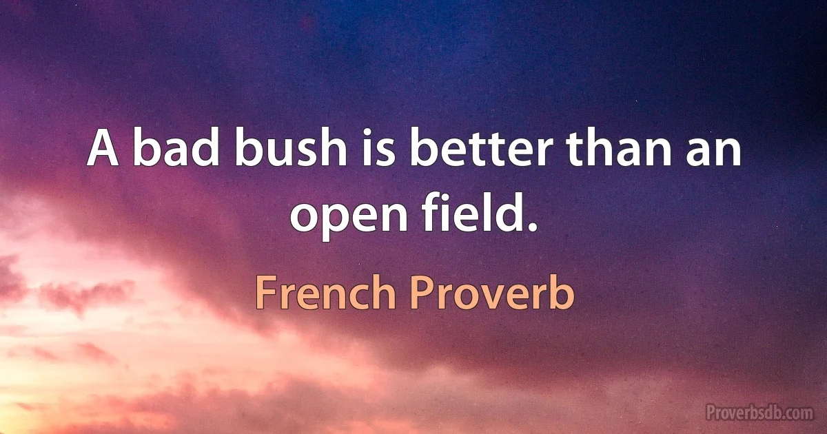 A bad bush is better than an open field. (French Proverb)