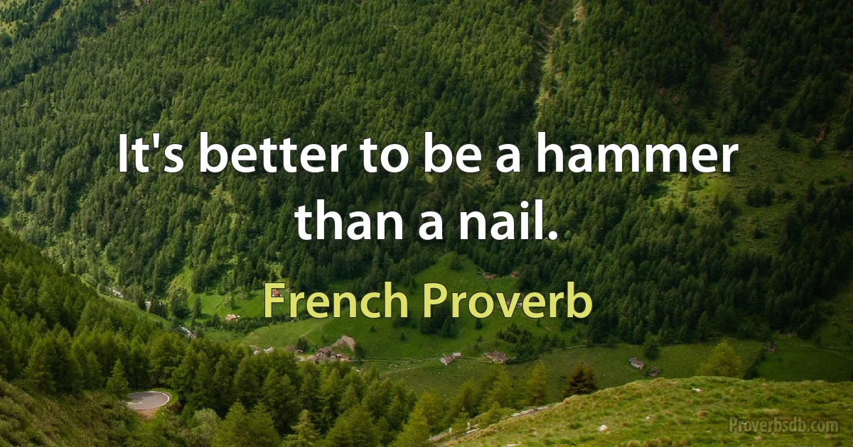 It's better to be a hammer than a nail. (French Proverb)