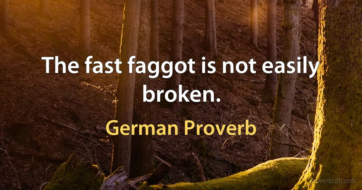 The fast faggot is not easily broken. (German Proverb)