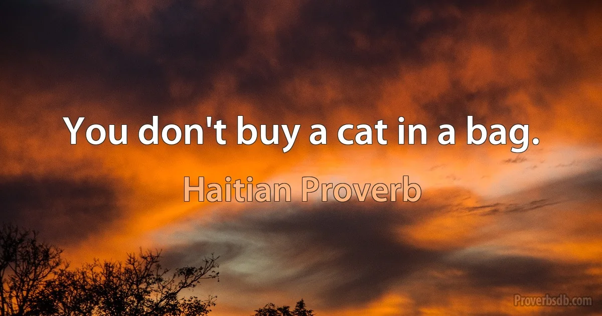 You don't buy a cat in a bag. (Haitian Proverb)