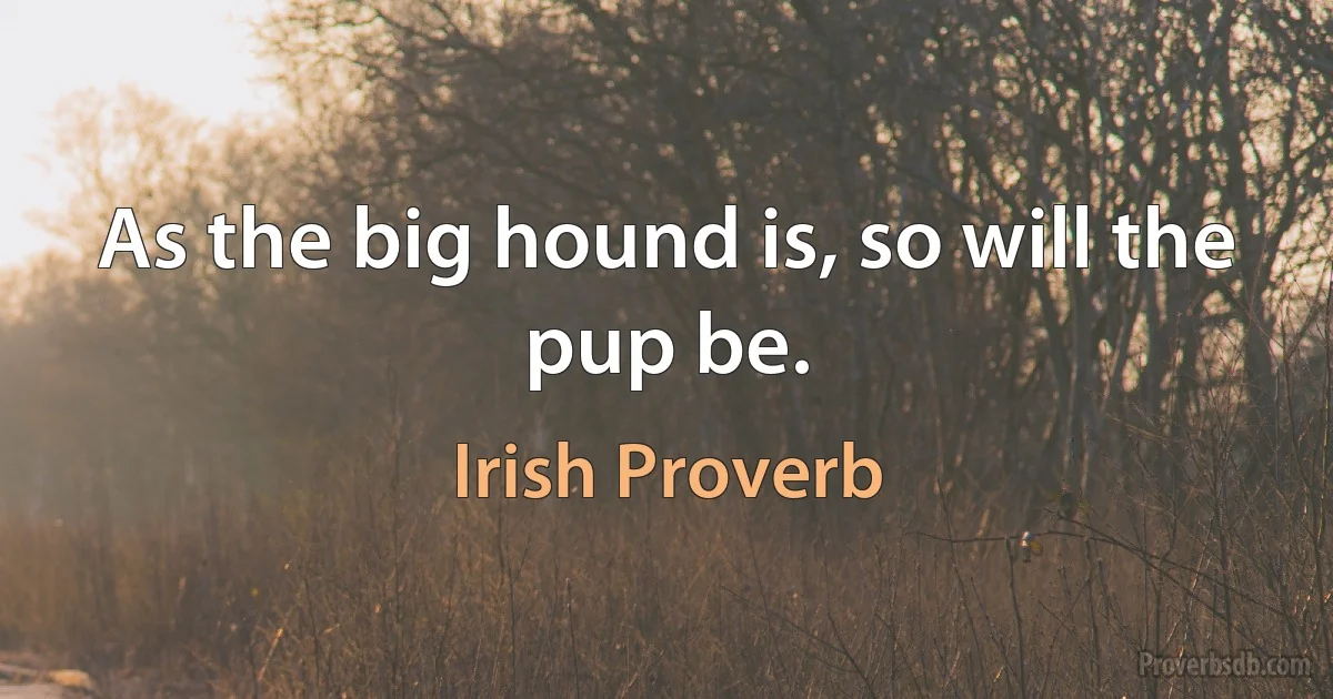 As the big hound is, so will the pup be. (Irish Proverb)