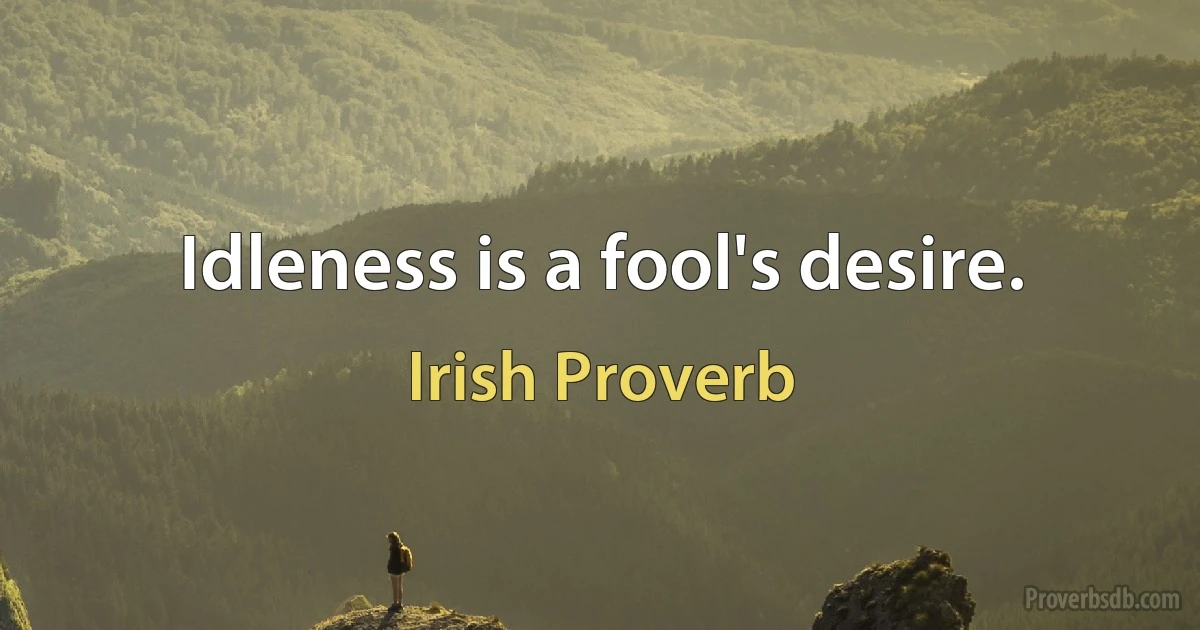 Idleness is a fool's desire. (Irish Proverb)