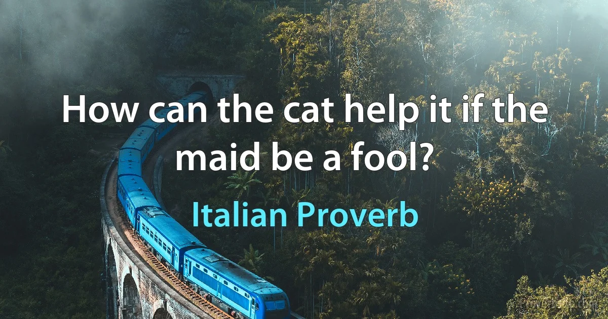 How can the cat help it if the maid be a fool? (Italian Proverb)