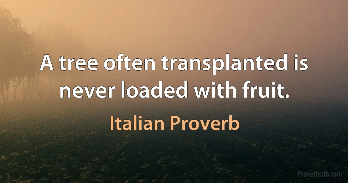 A tree often transplanted is never loaded with fruit. (Italian Proverb)