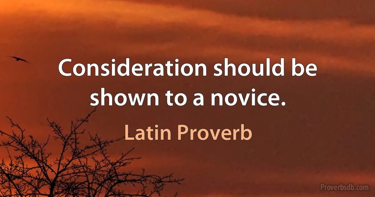 Consideration should be shown to a novice. (Latin Proverb)