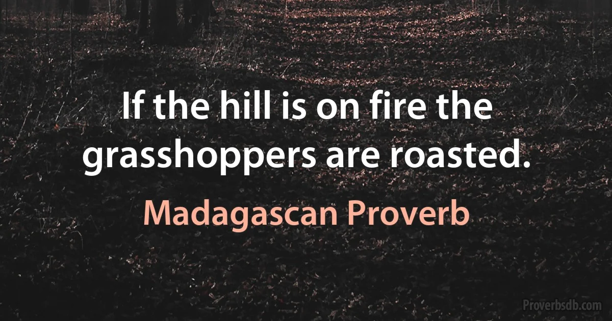 If the hill is on fire the grasshoppers are roasted. (Madagascan Proverb)