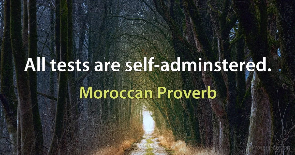 All tests are self-adminstered. (Moroccan Proverb)