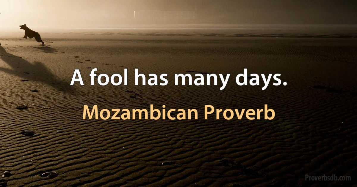 A fool has many days. (Mozambican Proverb)