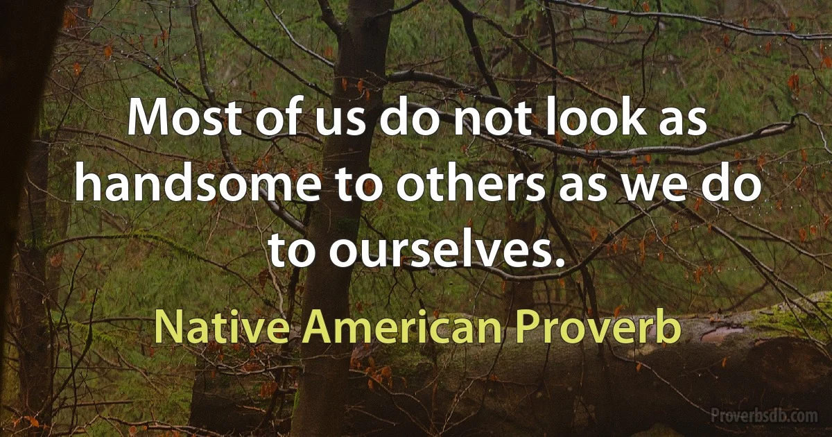 Most of us do not look as handsome to others as we do to ourselves. (Native American Proverb)