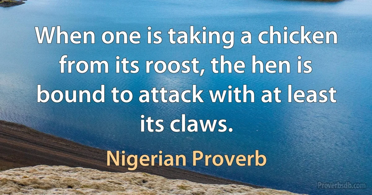 When one is taking a chicken from its roost, the hen is bound to attack with at least its claws. (Nigerian Proverb)