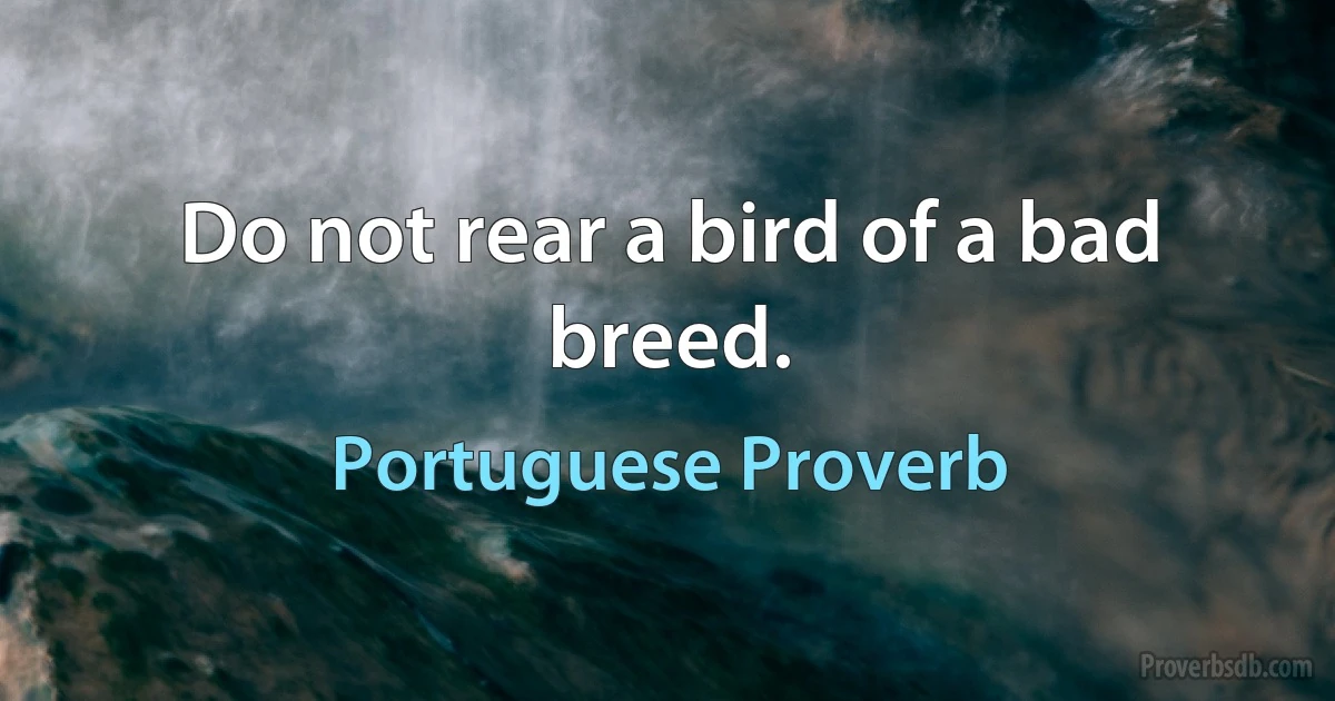 Do not rear a bird of a bad breed. (Portuguese Proverb)