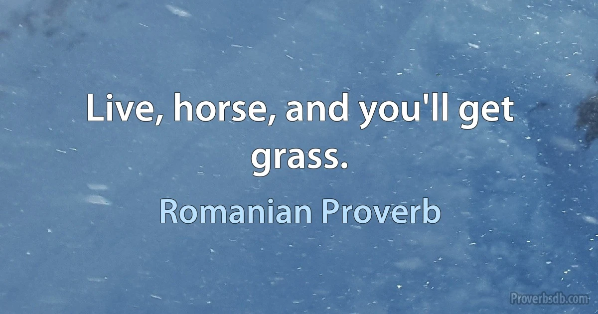 Live, horse, and you'll get grass. (Romanian Proverb)