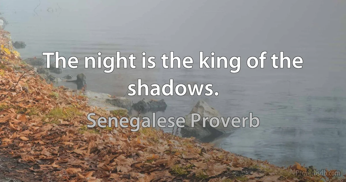 The night is the king of the shadows. (Senegalese Proverb)