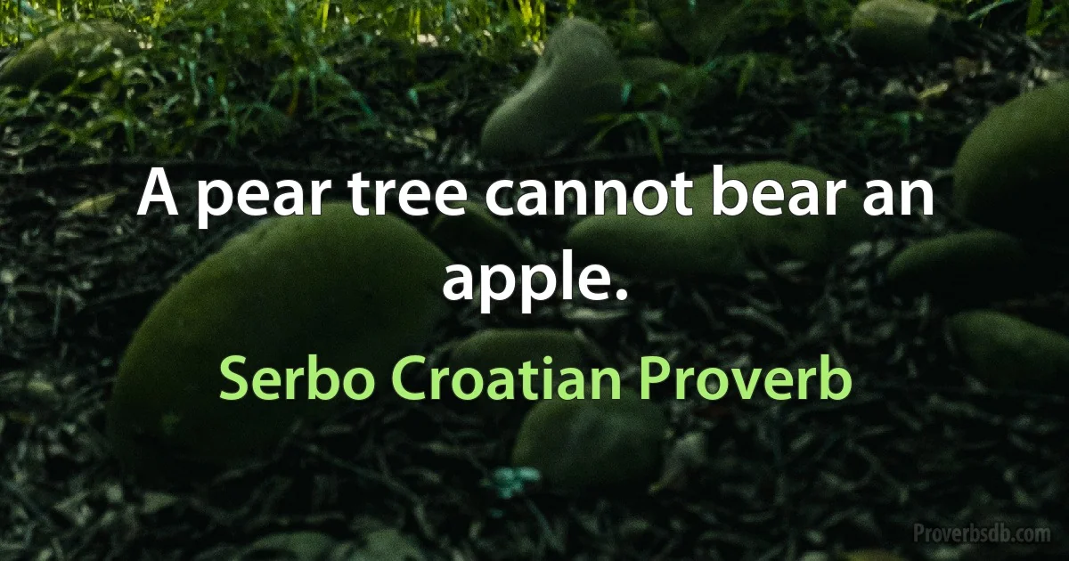 A pear tree cannot bear an apple. (Serbo Croatian Proverb)