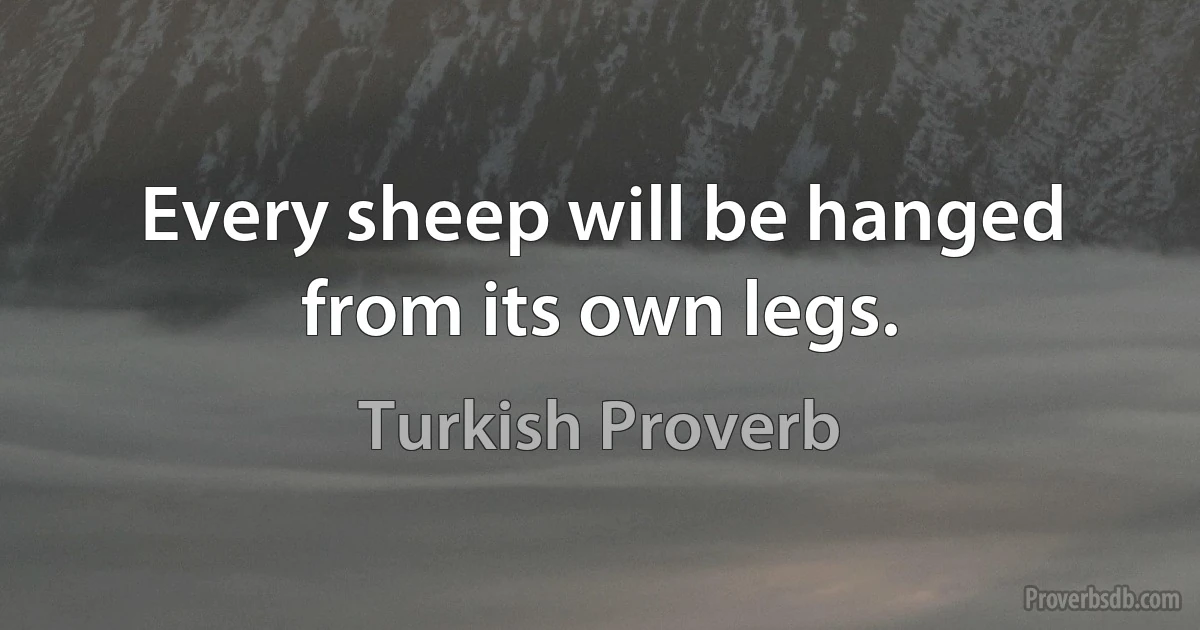 Every sheep will be hanged from its own legs. (Turkish Proverb)