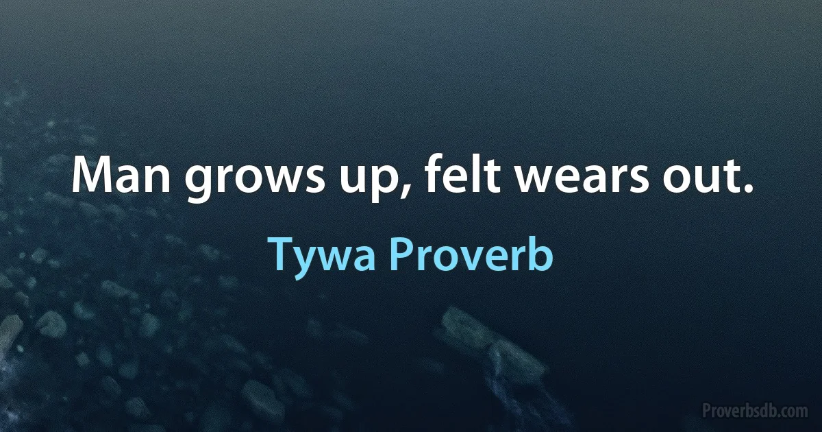 Man grows up, felt wears out. (Tywa Proverb)