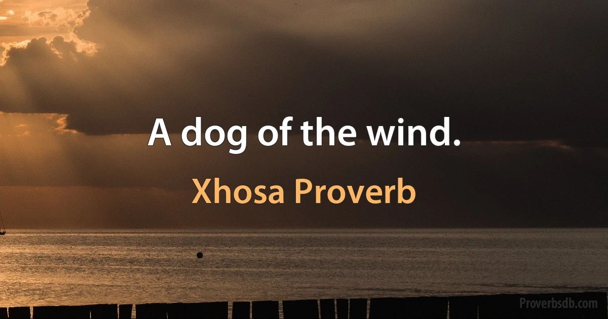 A dog of the wind. (Xhosa Proverb)