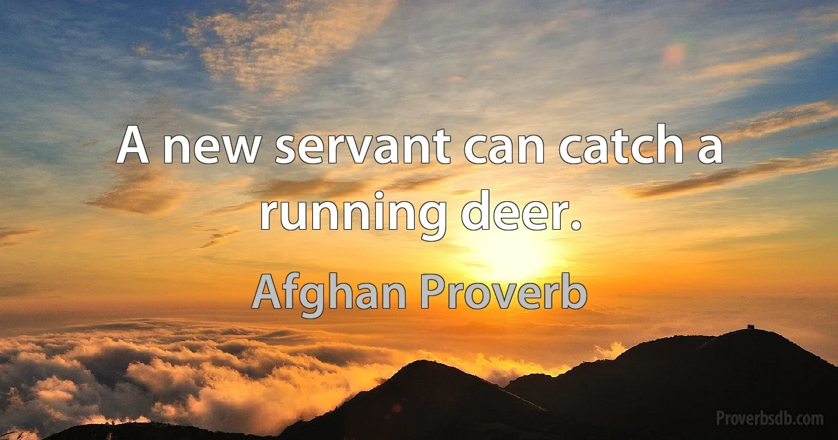 A new servant can catch a running deer. (Afghan Proverb)