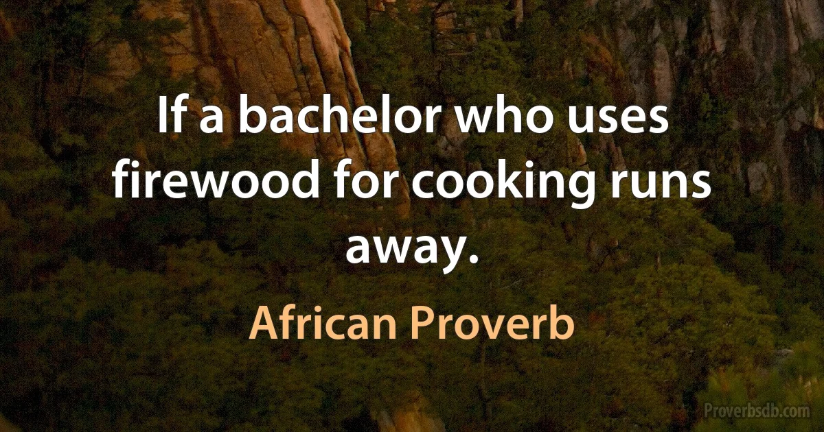 If a bachelor who uses firewood for cooking runs away. (African Proverb)