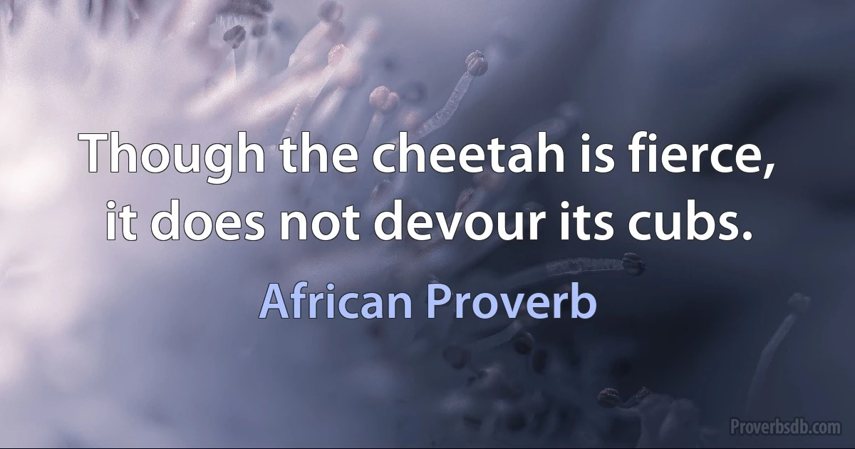 Though the cheetah is fierce, it does not devour its cubs. (African Proverb)