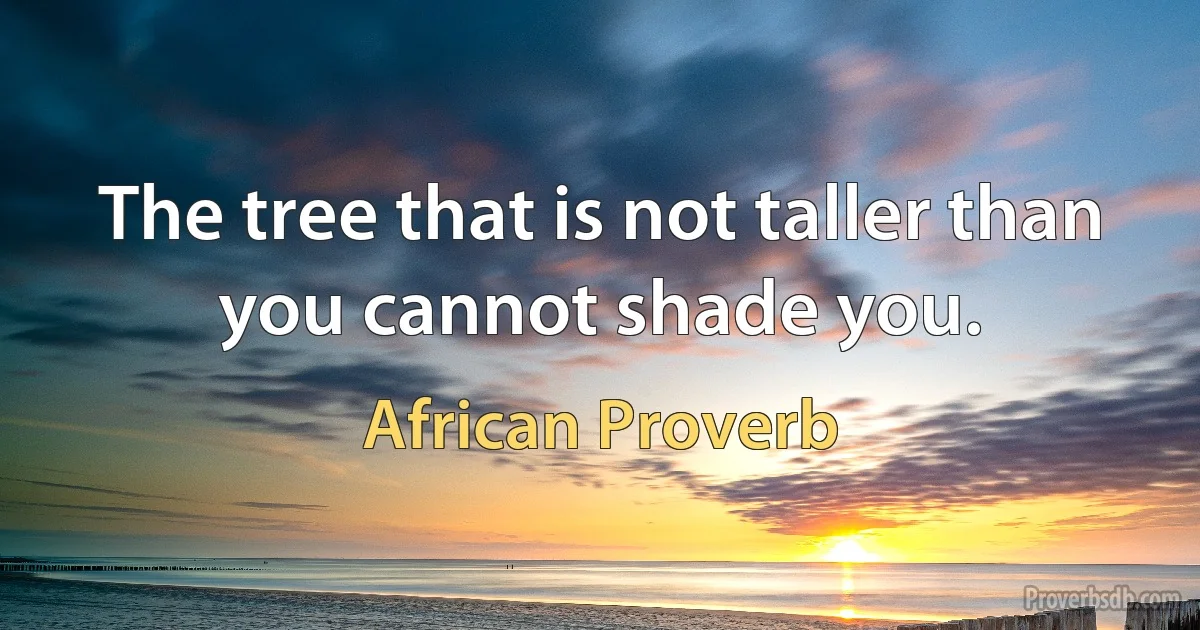 The tree that is not taller than you cannot shade you. (African Proverb)