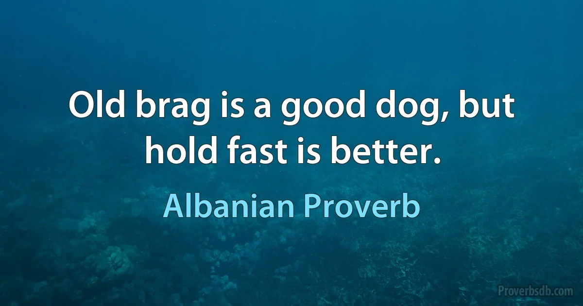 Old brag is a good dog, but hold fast is better. (Albanian Proverb)