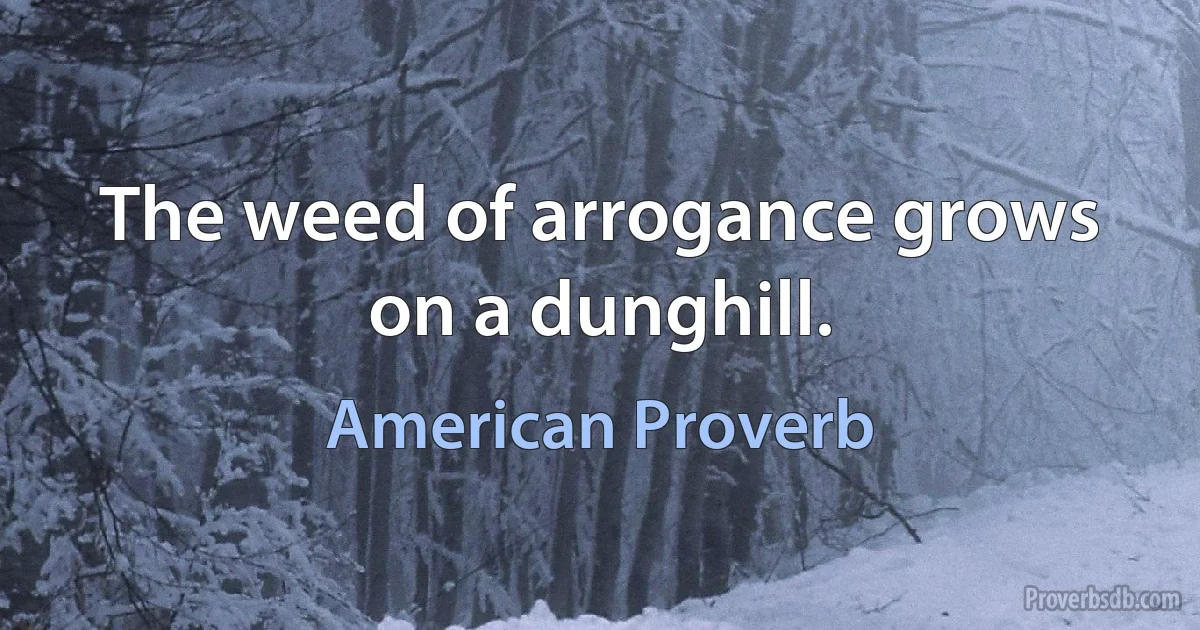 The weed of arrogance grows on a dunghill. (American Proverb)