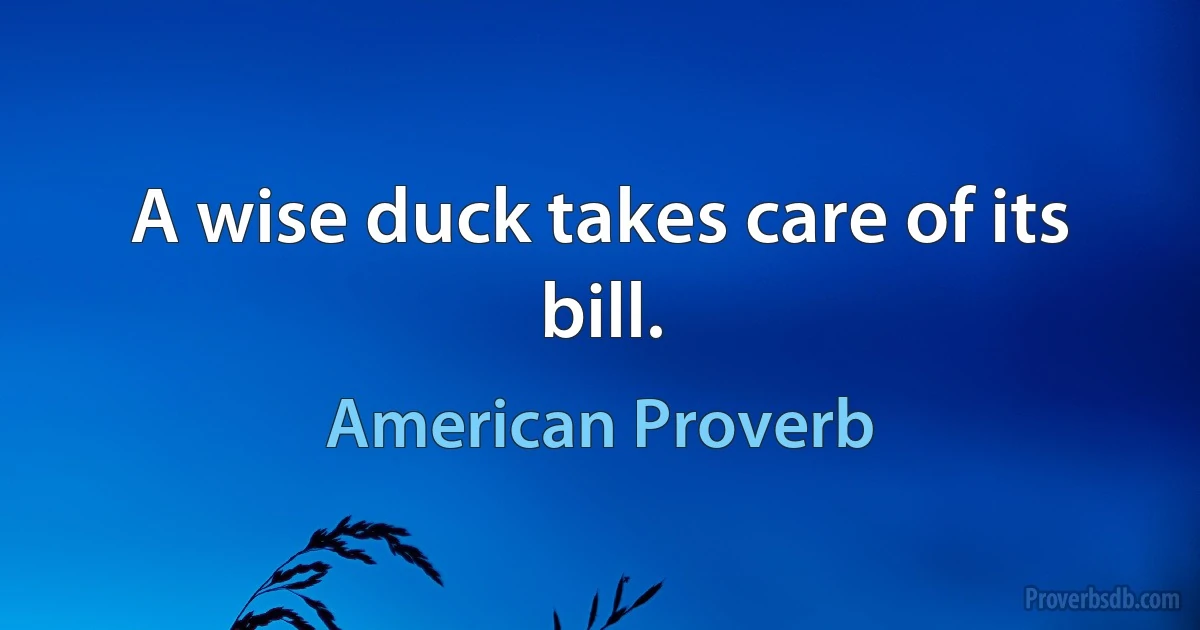 A wise duck takes care of its bill. (American Proverb)