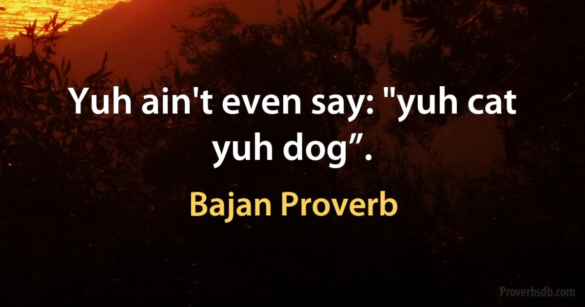 Yuh ain't even say: "yuh cat yuh dog”. (Bajan Proverb)