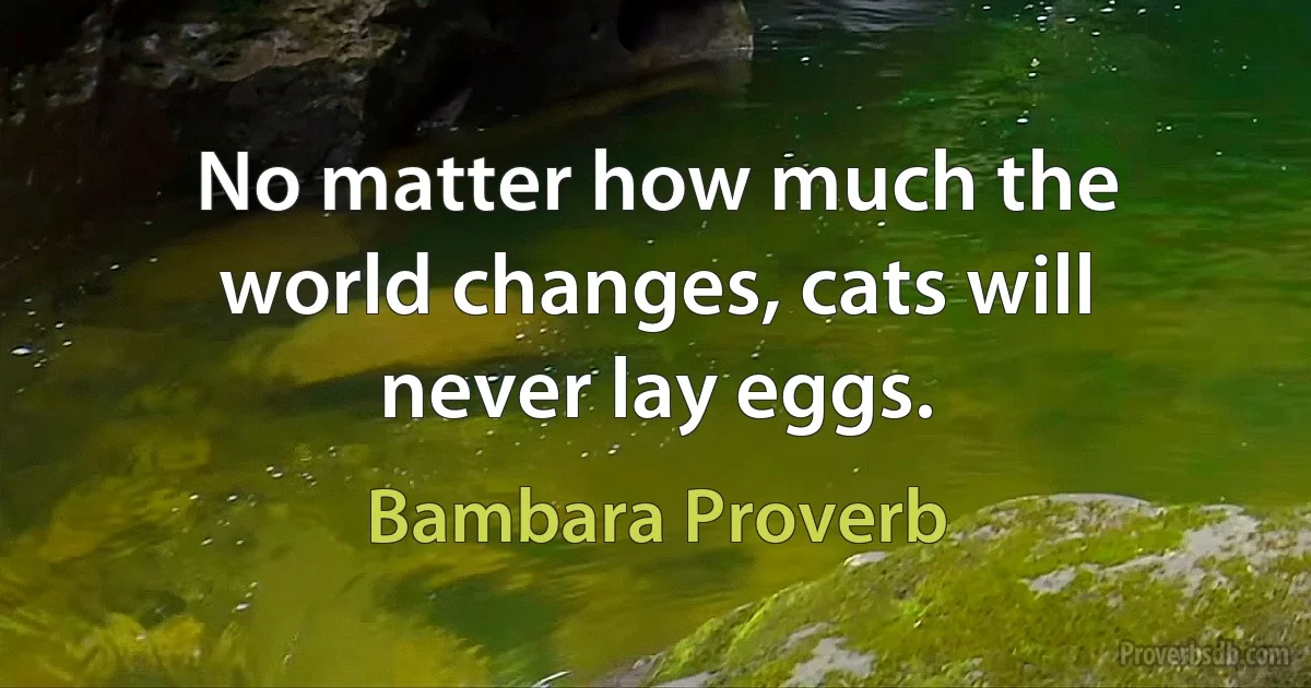 No matter how much the world changes, cats will never lay eggs. (Bambara Proverb)