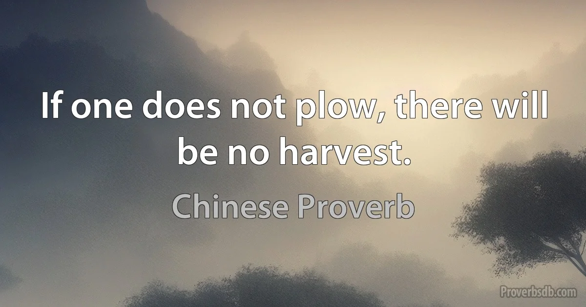 If one does not plow, there will be no harvest. (Chinese Proverb)