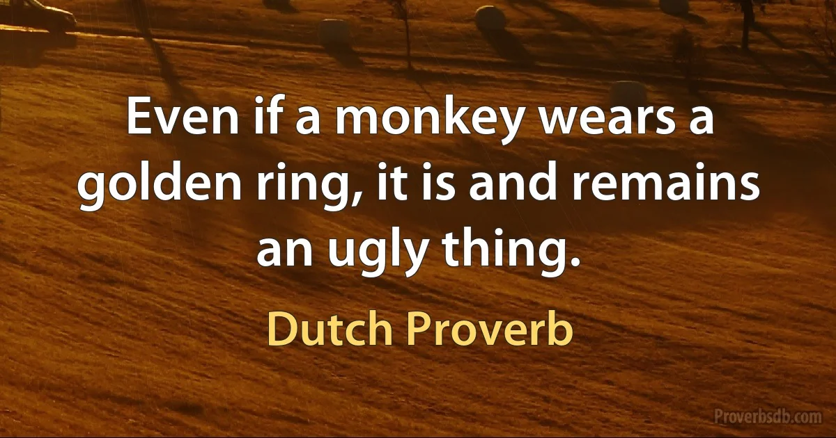 Even if a monkey wears a golden ring, it is and remains an ugly thing. (Dutch Proverb)