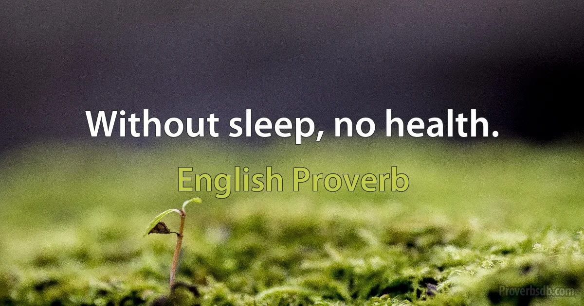 Without sleep, no health. (English Proverb)