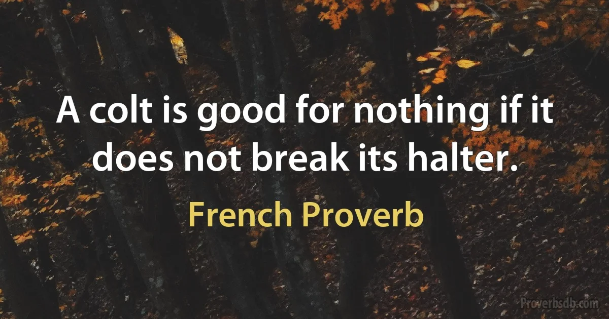 A colt is good for nothing if it does not break its halter. (French Proverb)