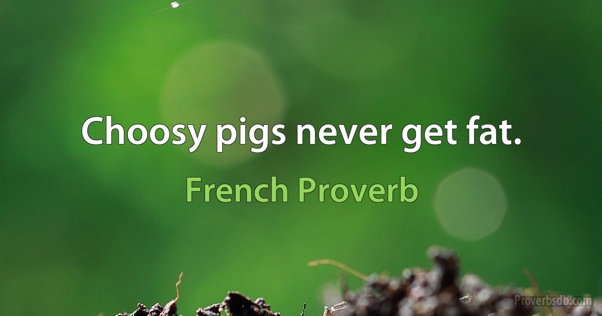 Choosy pigs never get fat. (French Proverb)