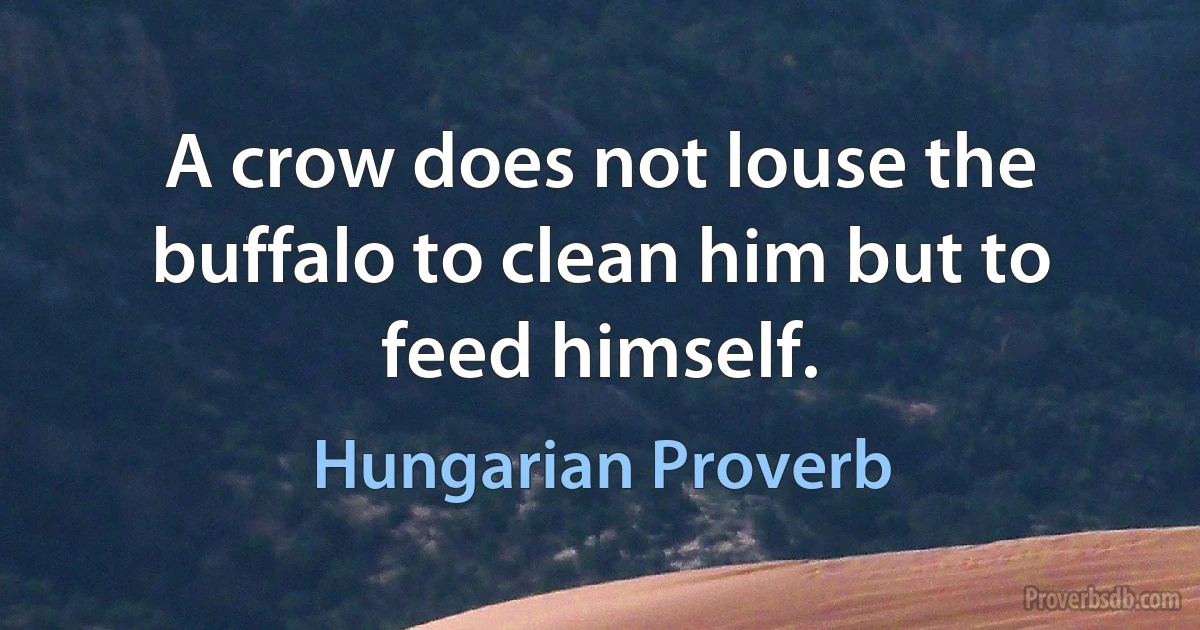 A crow does not louse the buffalo to clean him but to feed himself. (Hungarian Proverb)