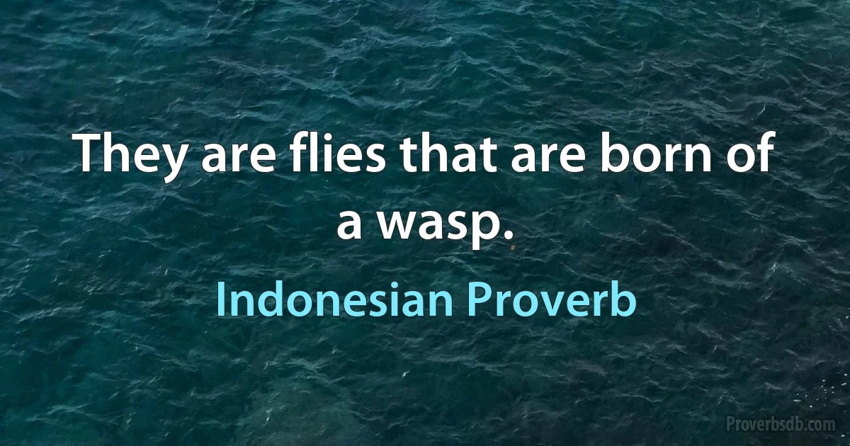 They are flies that are born of a wasp. (Indonesian Proverb)