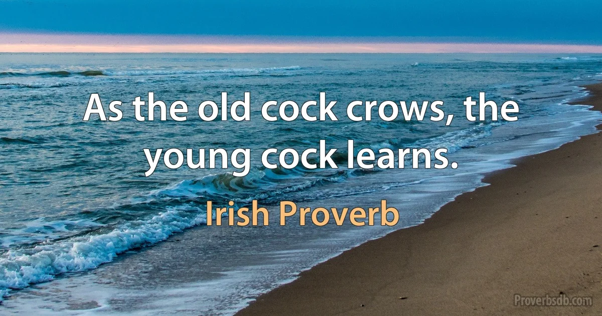 As the old cock crows, the young cock learns. (Irish Proverb)