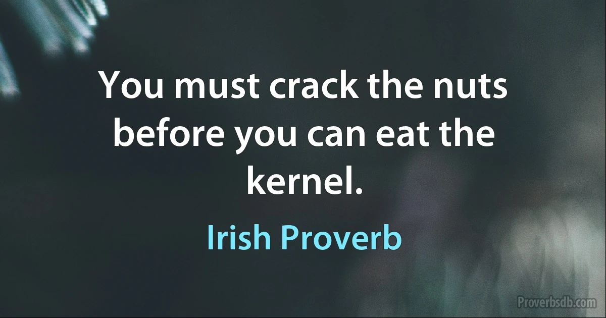 You must crack the nuts before you can eat the kernel. (Irish Proverb)