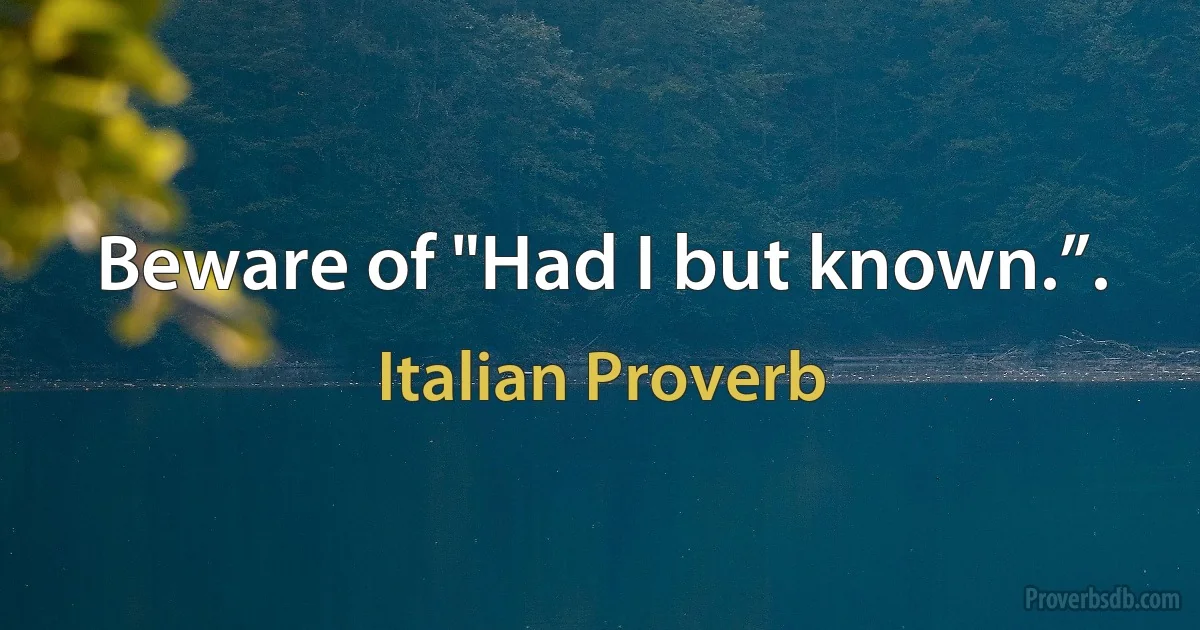 Beware of "Had I but known.”. (Italian Proverb)