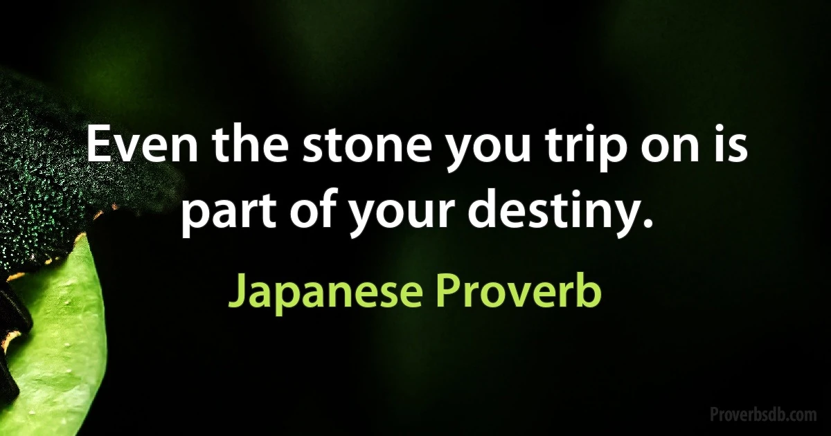 Even the stone you trip on is part of your destiny. (Japanese Proverb)