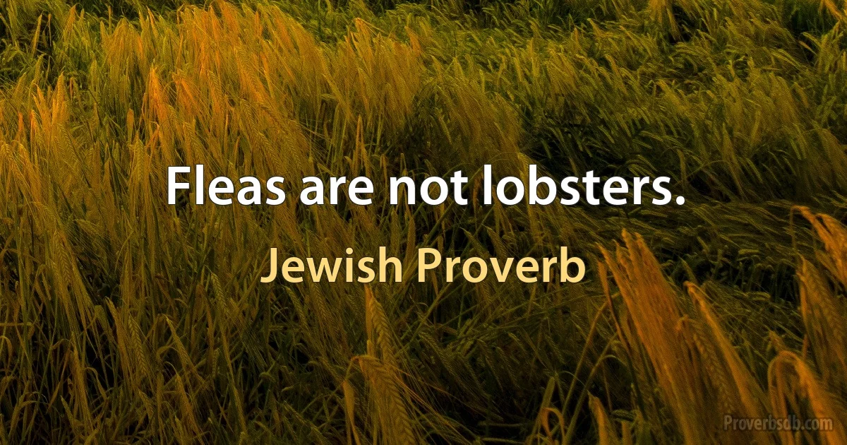 Fleas are not lobsters. (Jewish Proverb)